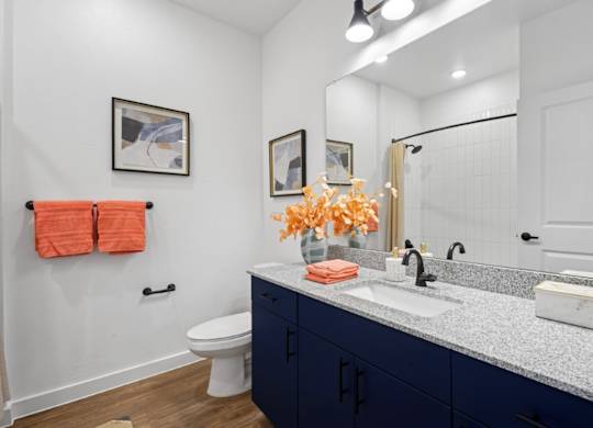Hillside on Parmer Lane Apartments in Austin Tx Model Unit Bathroom
