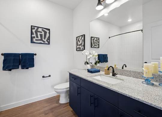 Hillside on Parmer Lane Apartments in Austin Tx model unit bathroom