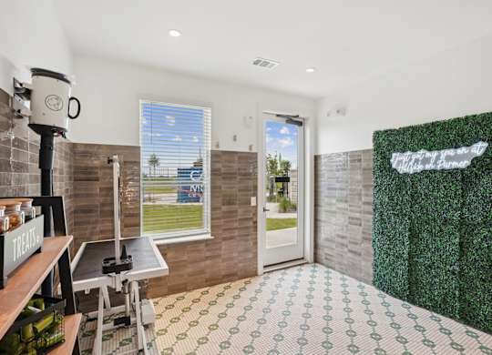 A pet spa with an adjustable table for pet grooming, pet treats, and pet washing equipment at Hillside on Parmer Lane Apartments in Austin, TX