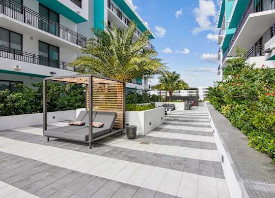 Cushioned lounge chair next to a palm tree in ou courtyard at Hollywood Heights on the Boulevard Luxury Apartments in Hollywood FL