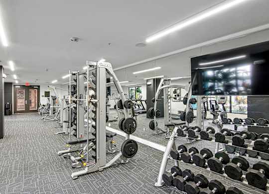 Our free weights section in our fitness center with a flatscreen TV on the right at Hollywood Heights on the Boulevard Luxury Apartments in Hollywood, FL
