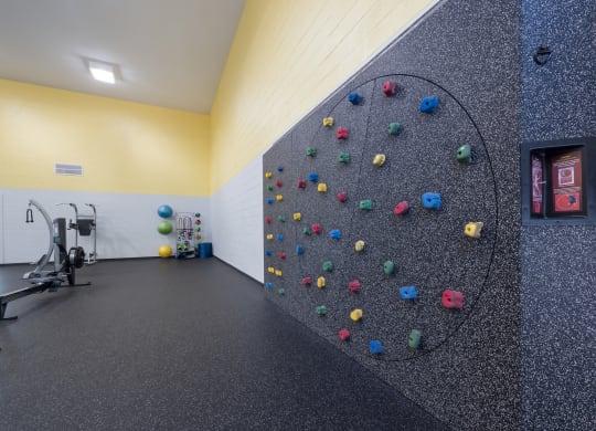 Indoor Rock Wall View 1 at Sundance at Clermont in Clermont FL