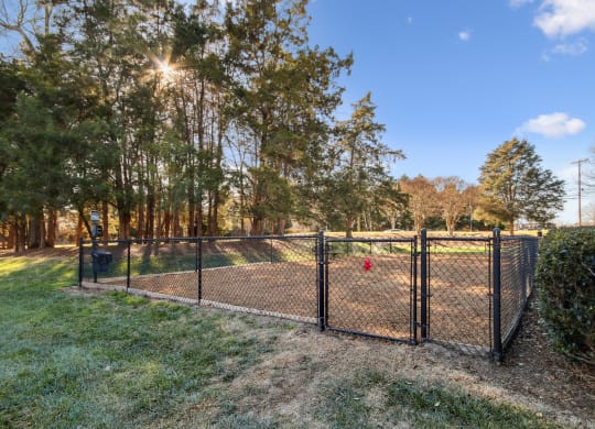 the dog park at Johnston Creek Crossing in Charlotte, NC