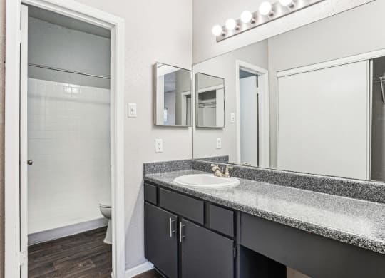 Luxurious master bathroom at Laurels of Sendera apartments in Arlington, TX