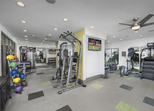 Fitness Room of Lumi Hyde Park in Tampa, FL
