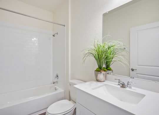 Maple model bathroom with plant and shower/bath tub at Beacon at Ashley River Landing in Summerville, SC