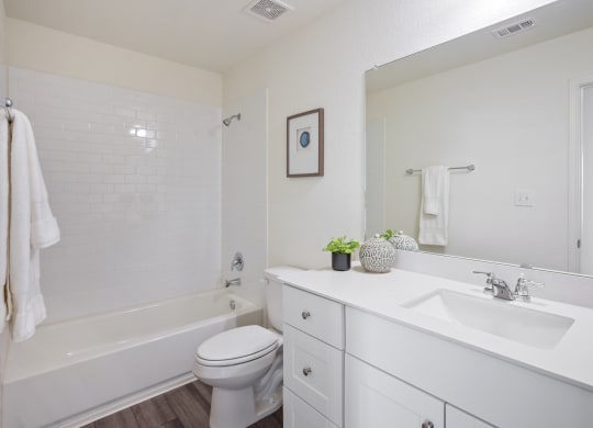Maple bathroom with white vanity and cabinets, and tub at Beacon at Ashley River Landing in Summerville, SC