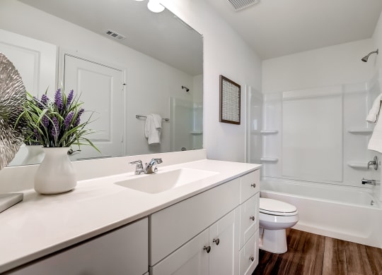 a bathroom with a toilet sink and bathtub at Beacon at Meridian, Texas, 78245