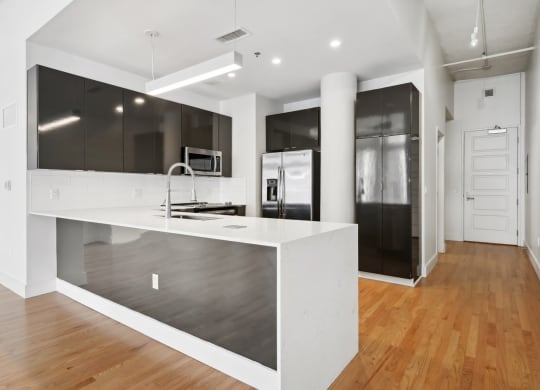 Large kitchen with ample counterspace, modern and sleek black cabinets, and stainless steel appliances at Mid Elm Lofts in Dallas, TX