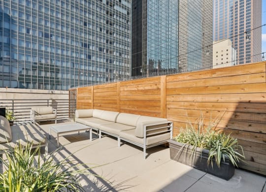 Beautiful rooftop patio space with wooden fence and views of the Dallas buildings at Mid Elm Lofts in Dallas, TX