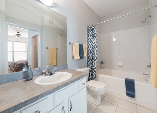 Model Bathroom 1 at Sundance at Clermont in Clermont FL