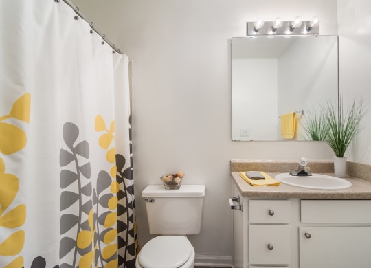 Bathroom at Poplar Place Apartments in Carrboro, NC