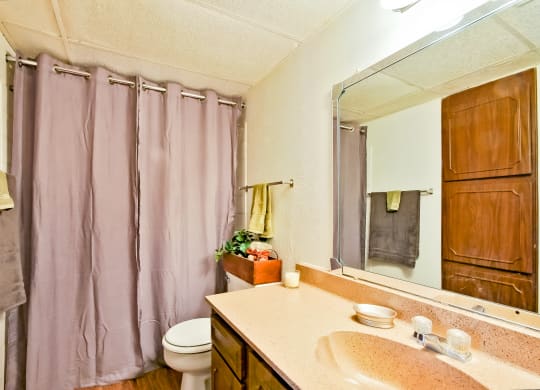 Model Bathroom 1 at 600 Baylor in Longview Tx