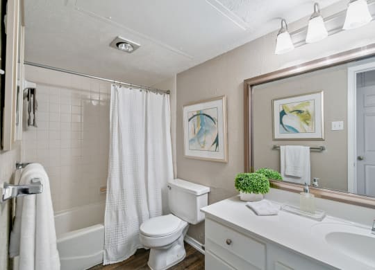 Model Bathroom at Davenport Apartments in Dallas, TX