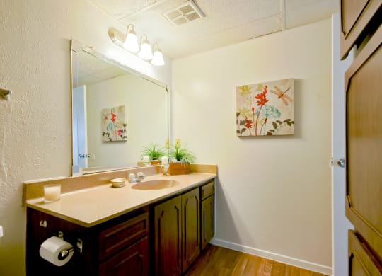 Model Bathroom 2 at 600 Baylor in Longview Tx