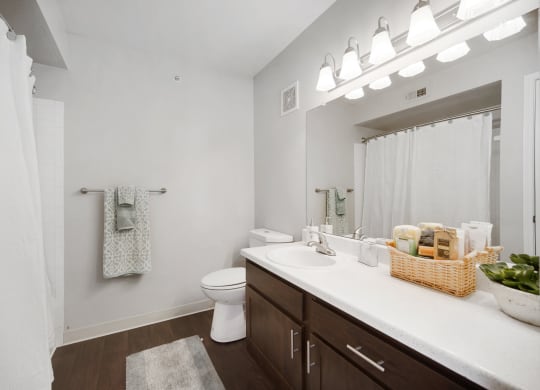 Model Bathroom 1 at Reflections At Cherry Creek in Aurora, CO
