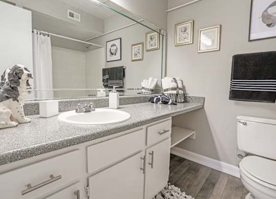 A cypress bathroom with a white toilet and a grey counter top at The Marq in Shreveport, LA