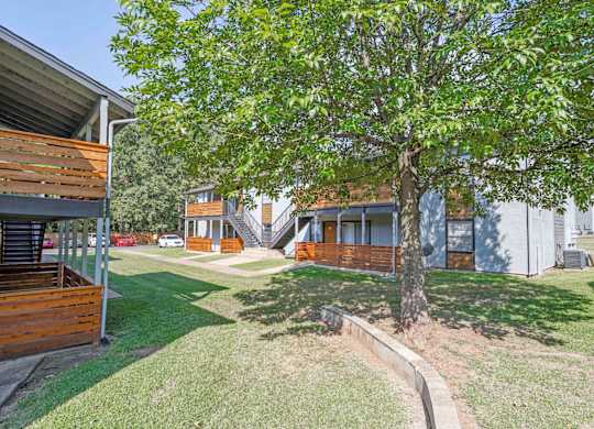 A tree in a grassy area in front of one of our apartment buildings at The Marq apartments in Shreveport, LA