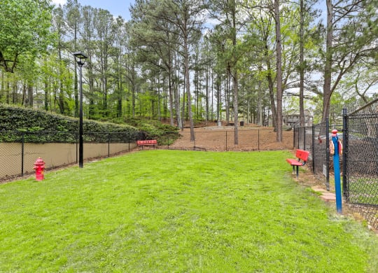 a grassy area with a fence and a red fire hydrant