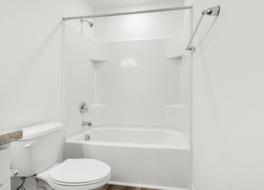 a bathroom with a toilet and a bathtub