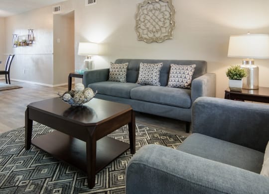Living Area   | Pavilion | Arlington, Texas Apartments