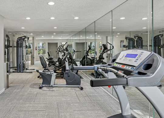 A gym with treadmills, elliptical machines and other cardio equipment.