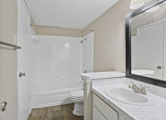 a bathroom with a sink and a toilet