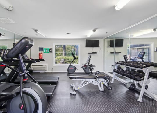 Fitness center with free weights and cardio machines at Oakley Run apartments in Smyrna, GA