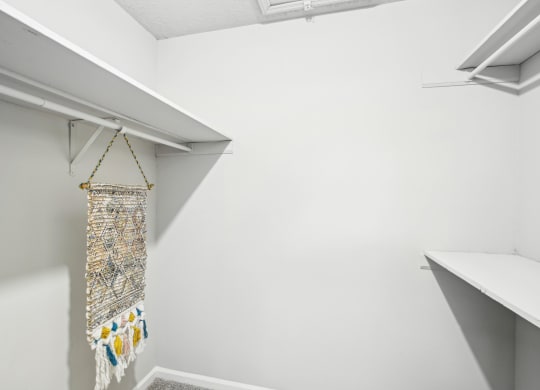 Spacious walk-in closet at Pine Village North in Smyrna, GA