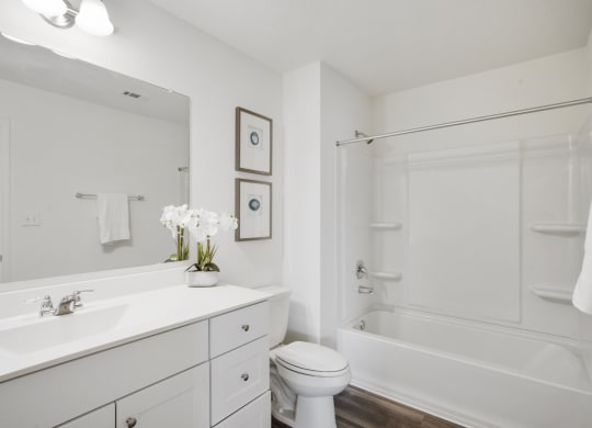 Beautiful bathroom with white counters and cabinets in Redbud floor plan at Beacon at Ashley River Landing in Summerville, SC