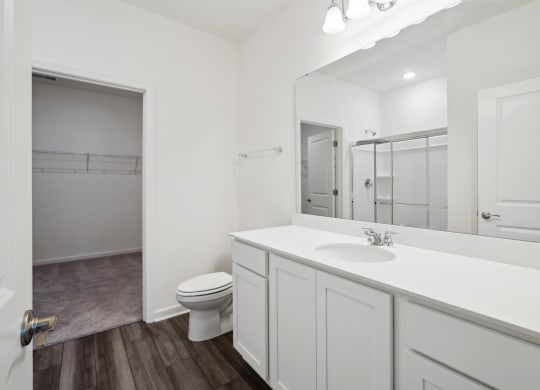 a bathroom with a sink and a toilet and a mirror