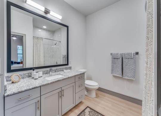 Clean and Bright Bathroom Space at St. Elmo Apartment in Austin, TX