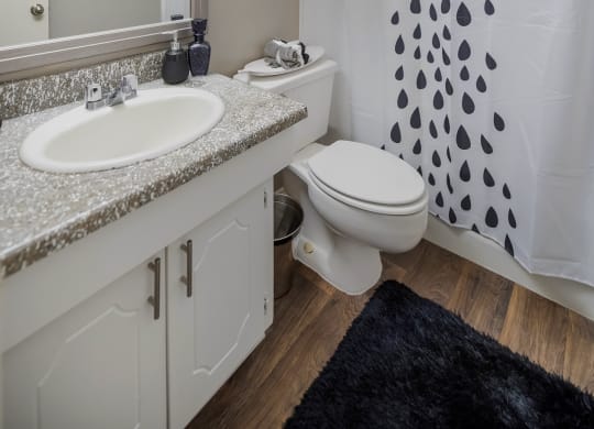 Model Studio Bathroom at Orleans Square in Shreveport, LA