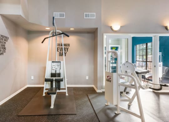 Strength Training Equipment at The Summit Apartments in Mesquite, Texas, TX