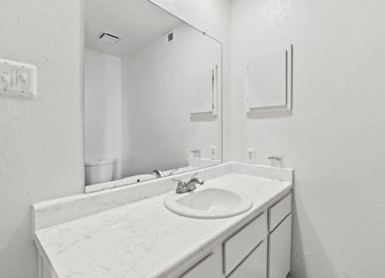 a bathroom with a sink and a mirror