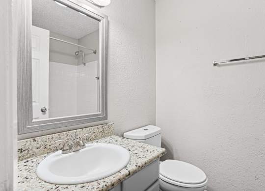 B1 bathroom with a sink, toilet, and mirror at Vine Apartments in Arlington, TX