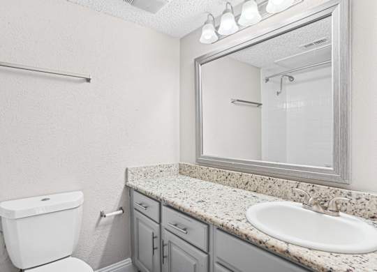 B1 a white toilet sits next to a sink in a bathroom at Vine Apartments in Arlington, TX