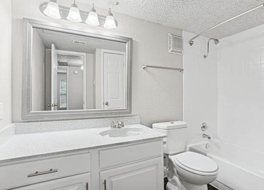 Upgraded A1 white bathroom with a toilet, sink, and mirror at Vine Apartments in Arlington, TX