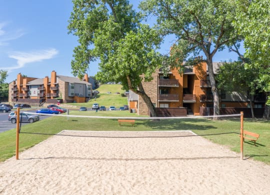 Volleyball Court of Vine apartments in Arlington, TX
