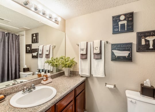 Model Bathroom at Walnut Creek Crossing Apartments in Austin, Texas, TX