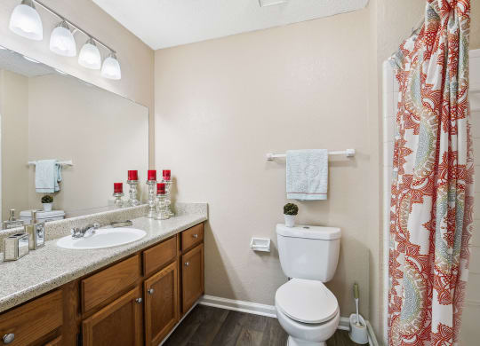 Model apartment second bathroom with toilet sink and mirror at Wellington Ridge in Lawrenceville, GA