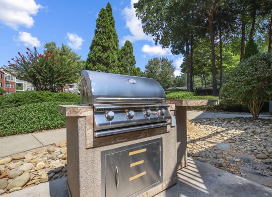 Grill station for BBQ at Wellington Ridge in Lawrenceville, GA
