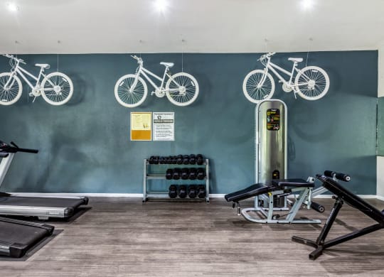 Fitness Center 2 | Westdale Creek | Austin TX