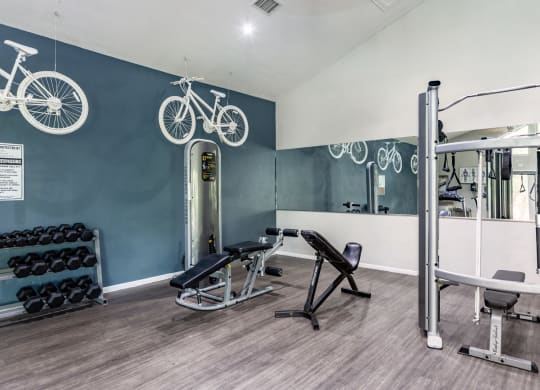 Fitness Center | Westdale Creek | Austin TX