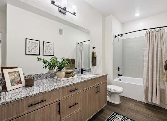 Bathroom Model Unit at Woodgate Place in Waco, TX