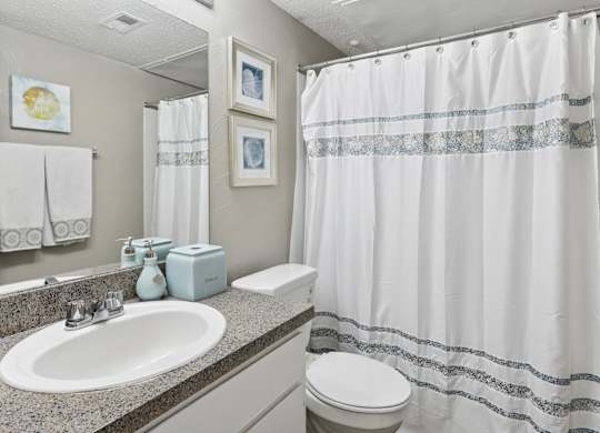 B1 bathroom with a sink, toilet, and curtain at Westdale Pointe in Austin, TX