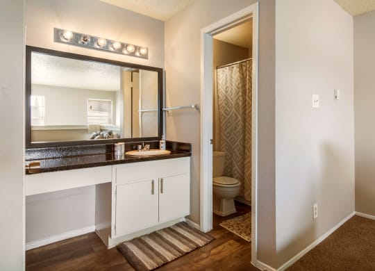 a bathroom with a mirror and a sink and a toilet