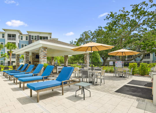 Poolside lounge chairs and umbrellas at Dunedin Commons apartments in Dunedin, FL