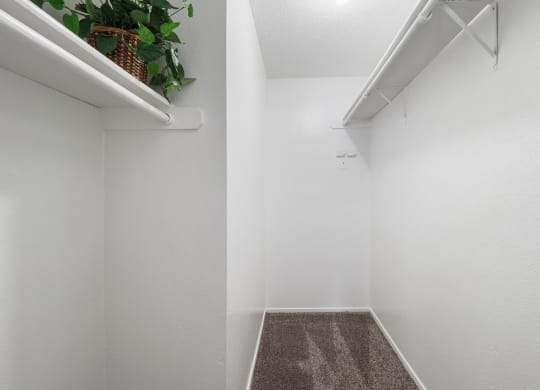 a walk in closet in a bedroom with a plant on the shelf
