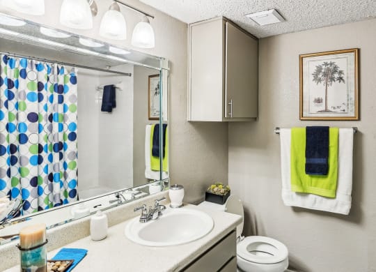 Model bathroom with a sink and a toilet and a mirror at Hunters Chase in Austin, TX